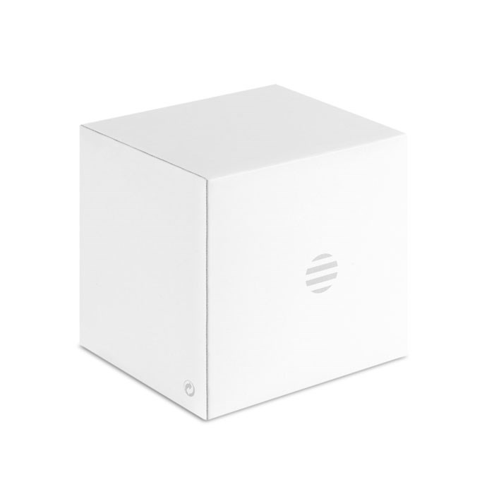 GLOBE LIGHT - LED-Glaskugel Globus